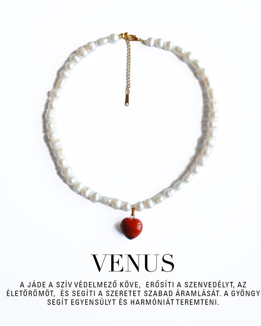 #066 Venus